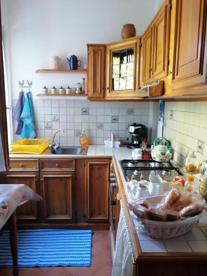 斯波莱托Casa Arezzola别墅 外观 照片